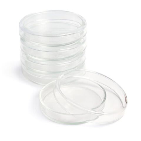 Petri Dishes