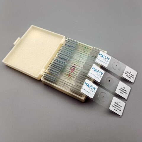 Prepared Slide Set